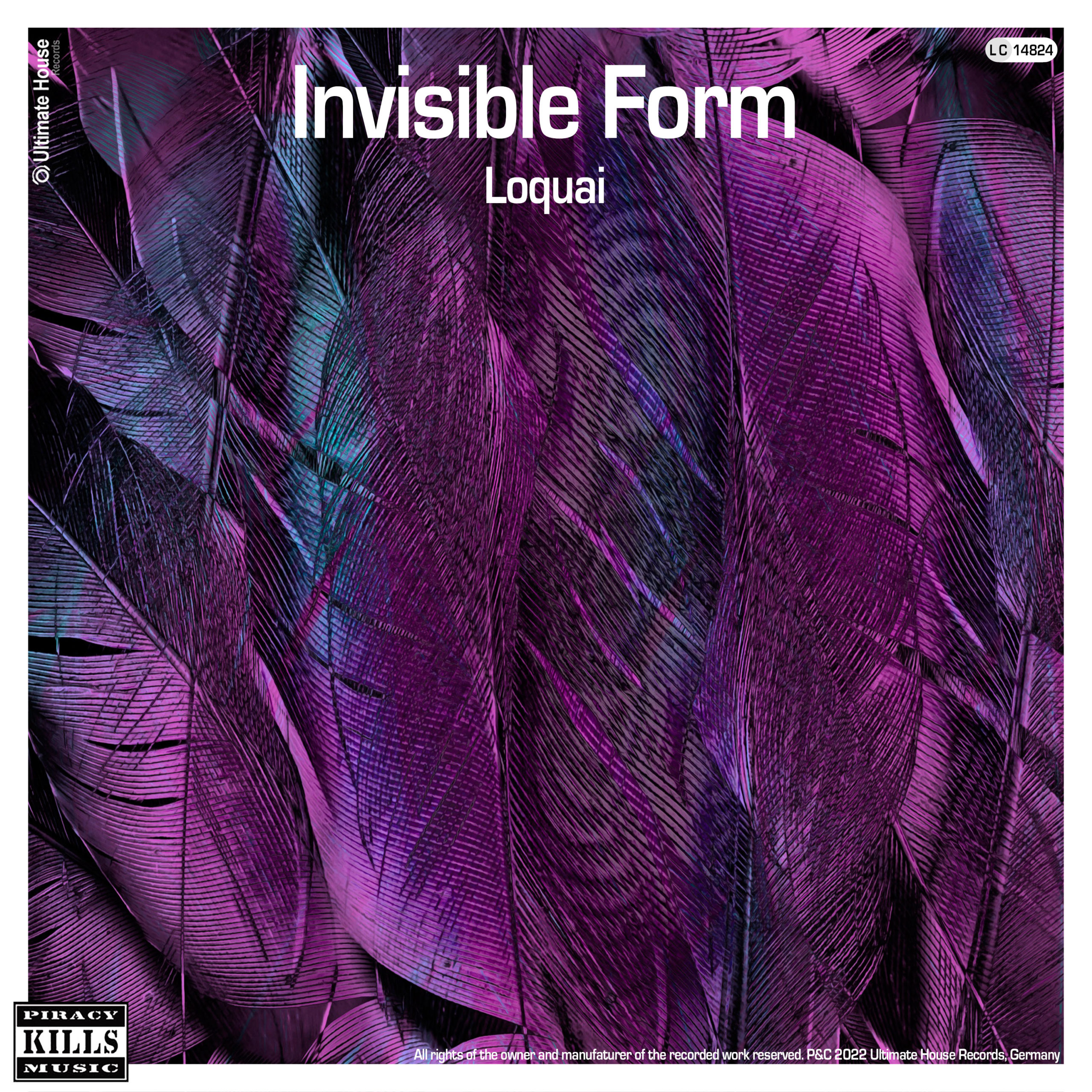 https://www.ultimate-house-records.com/wp-content/uploads/2022/05/159-Invisible_Form-Cover_3000px_web-scaled.jpg