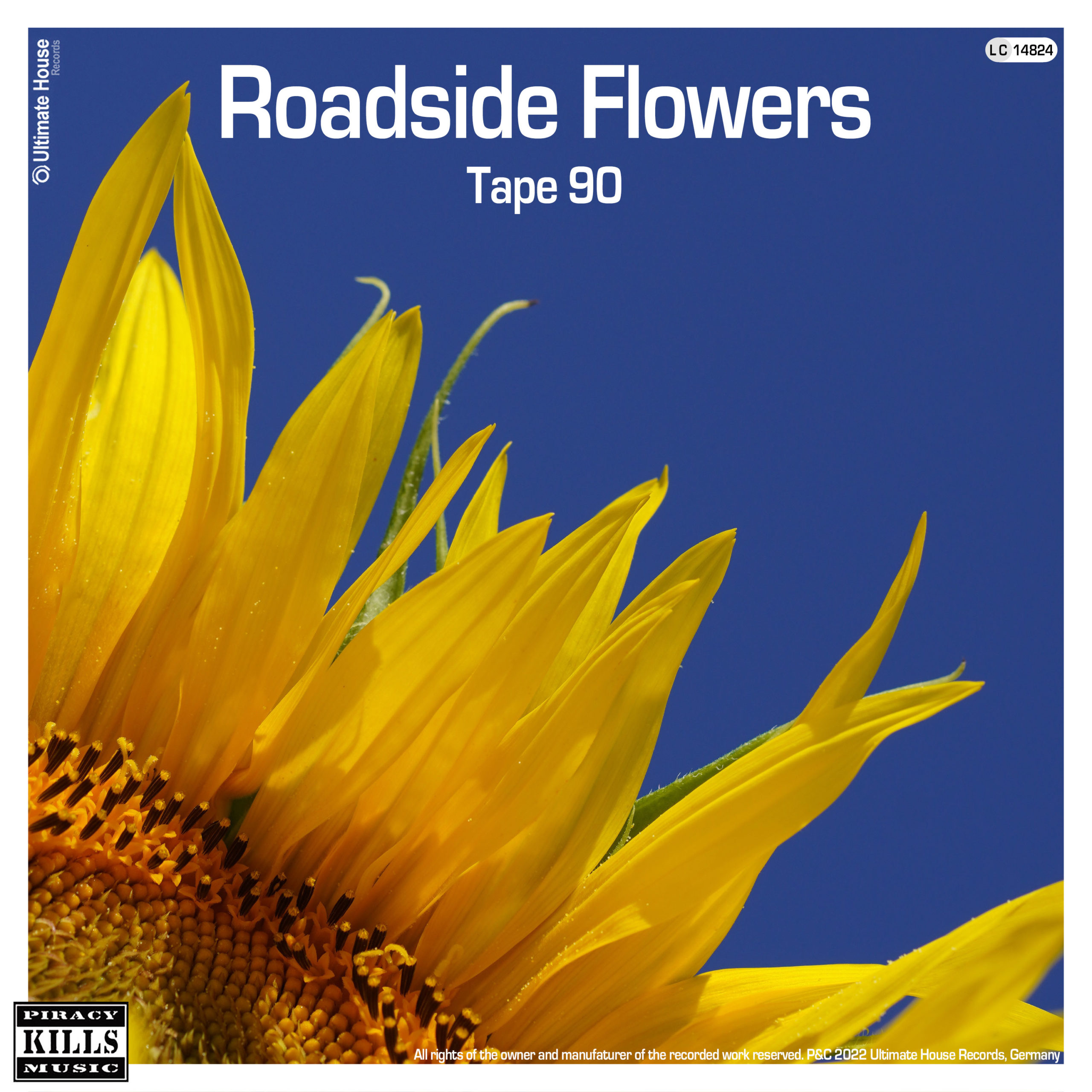 https://www.ultimate-house-records.com/wp-content/uploads/2022/09/165-Tape_90-Roadside_Flowers-Cover_3000px_web-scaled.jpg