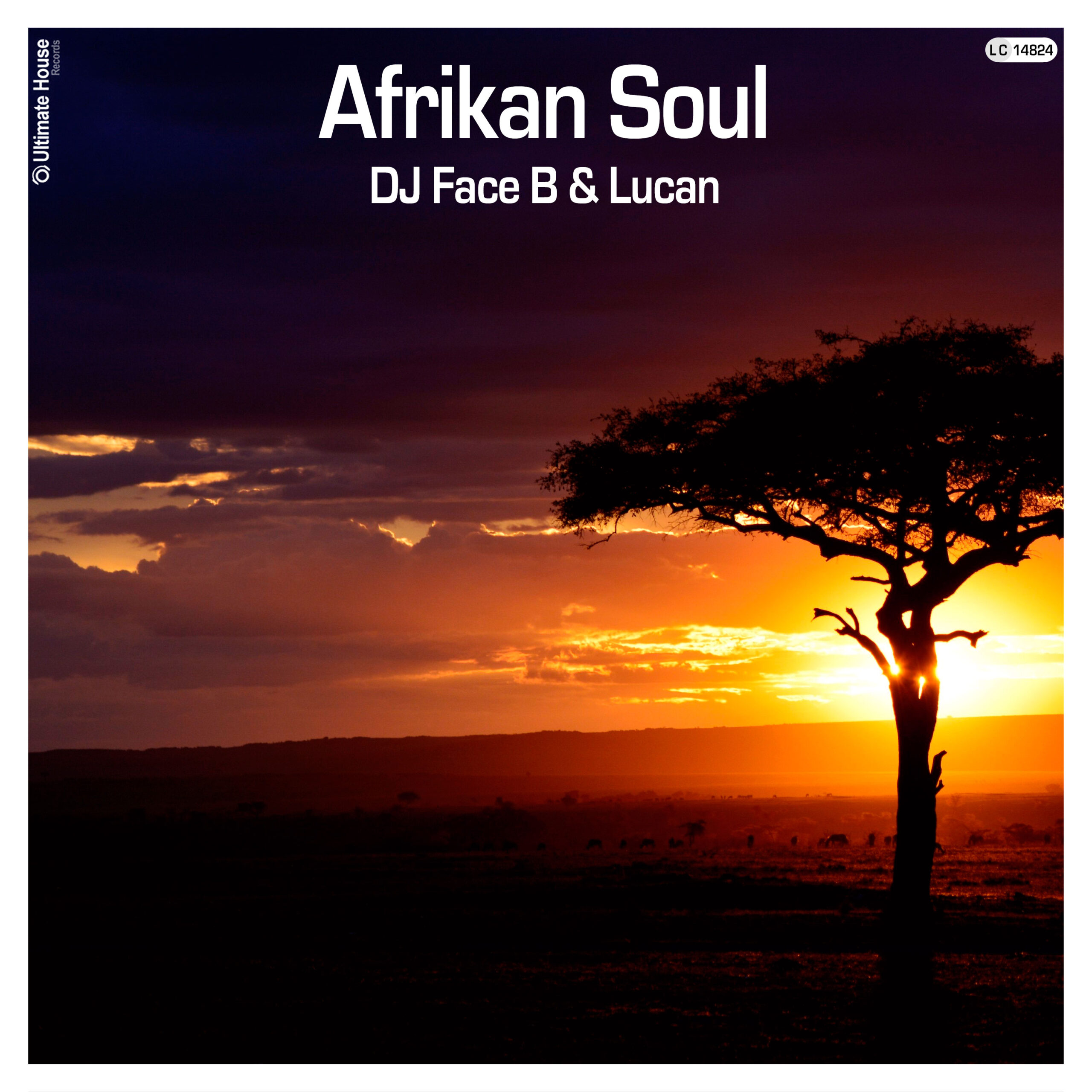 https://www.ultimate-house-records.com/wp-content/uploads/2023/10/179-Afrikan_Soul-Cover_3000px_web-scaled.jpg