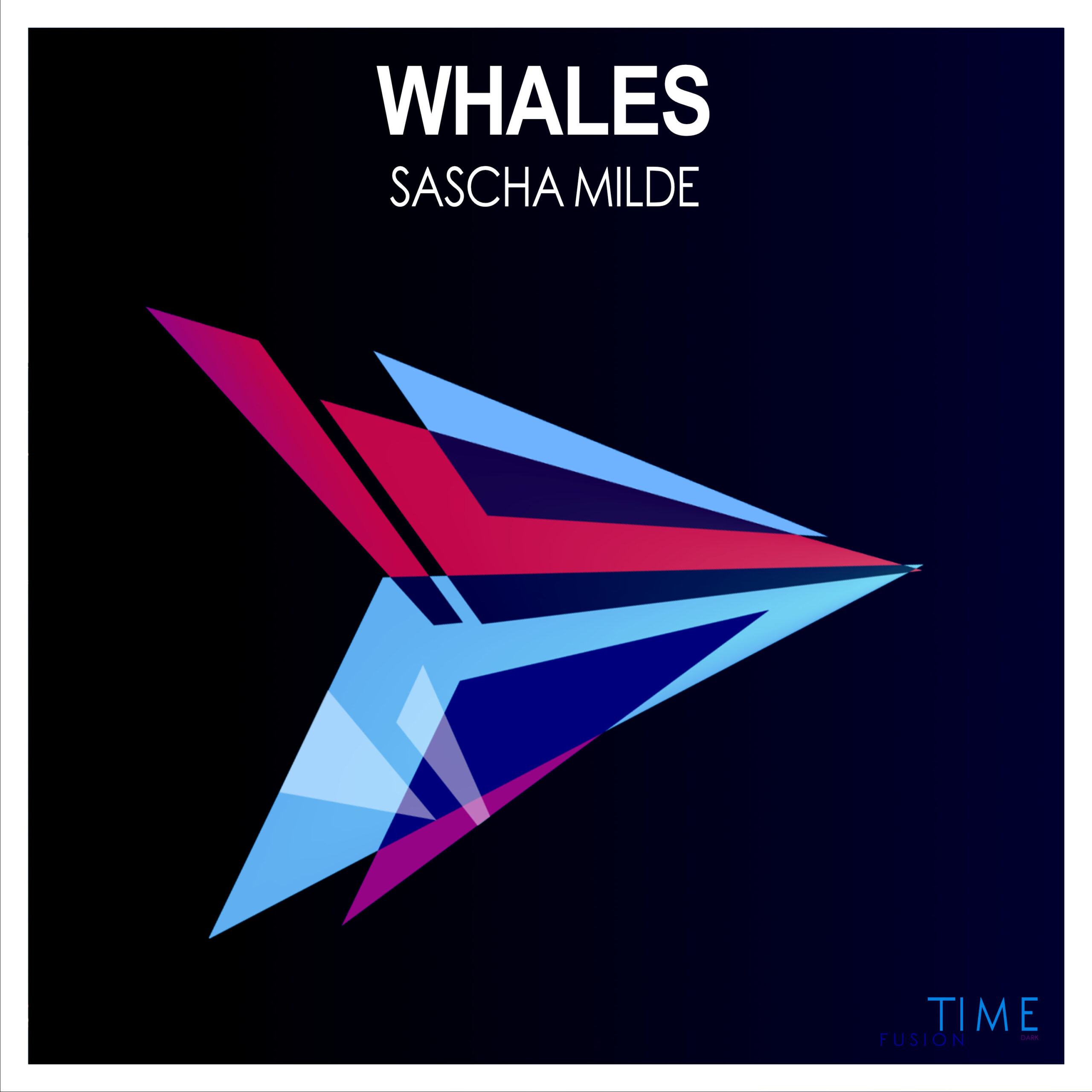 https://www.ultimate-house-records.com/wp-content/uploads/2025/05/TFD-006-Sascha-mILde-Whales-Cover_3000px-web-scaled.jpg
