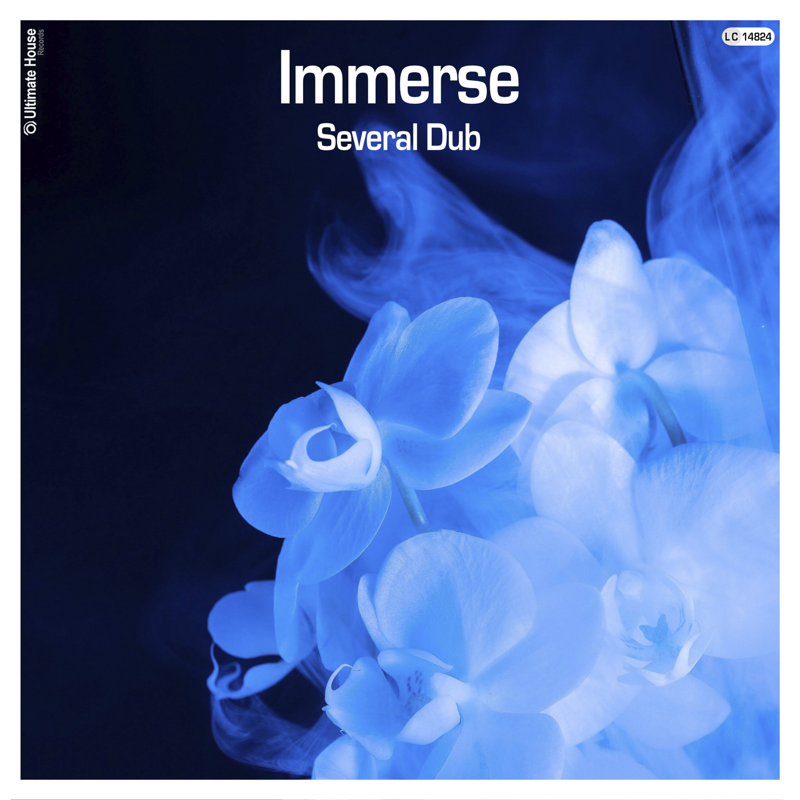 https://www.ultimate-house-records.com/wp-content/uploads/2026/02/Several-Dub-Immerse-Cover-3000px-web-scaled.jpg